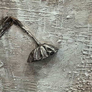 Close-up of the dark bent ridge and fan-shaped end against a rough gray-beige surface.