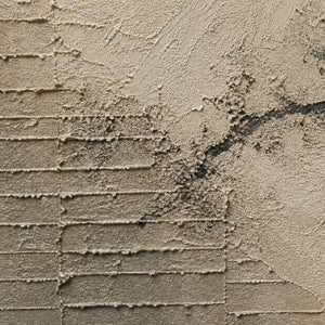 Close-up of ivory plaster relief, taupe steps, and an ink-dark branch.