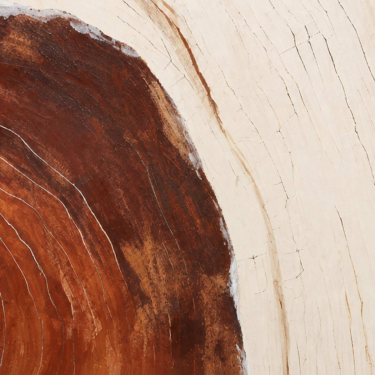 Close detail of fine curved lines and cracks across cream and rust texture.