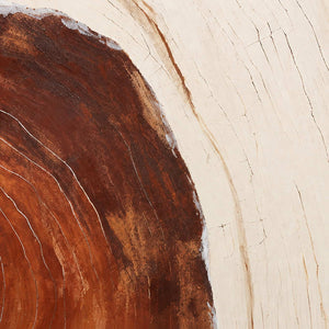 Close detail of fine curved lines and cracks across cream and rust texture.