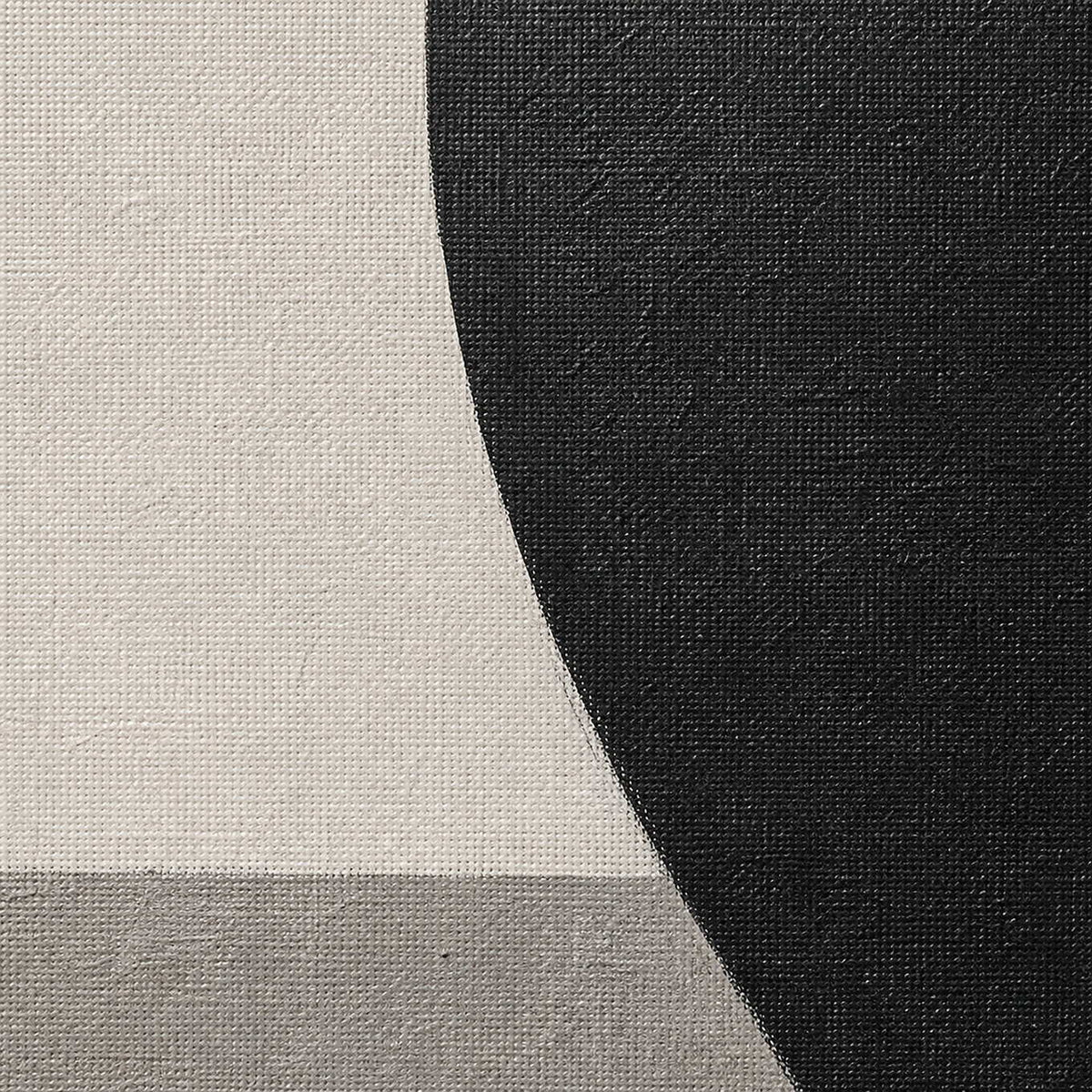 Close up of sculpted white petals and monochrome canvas texture.