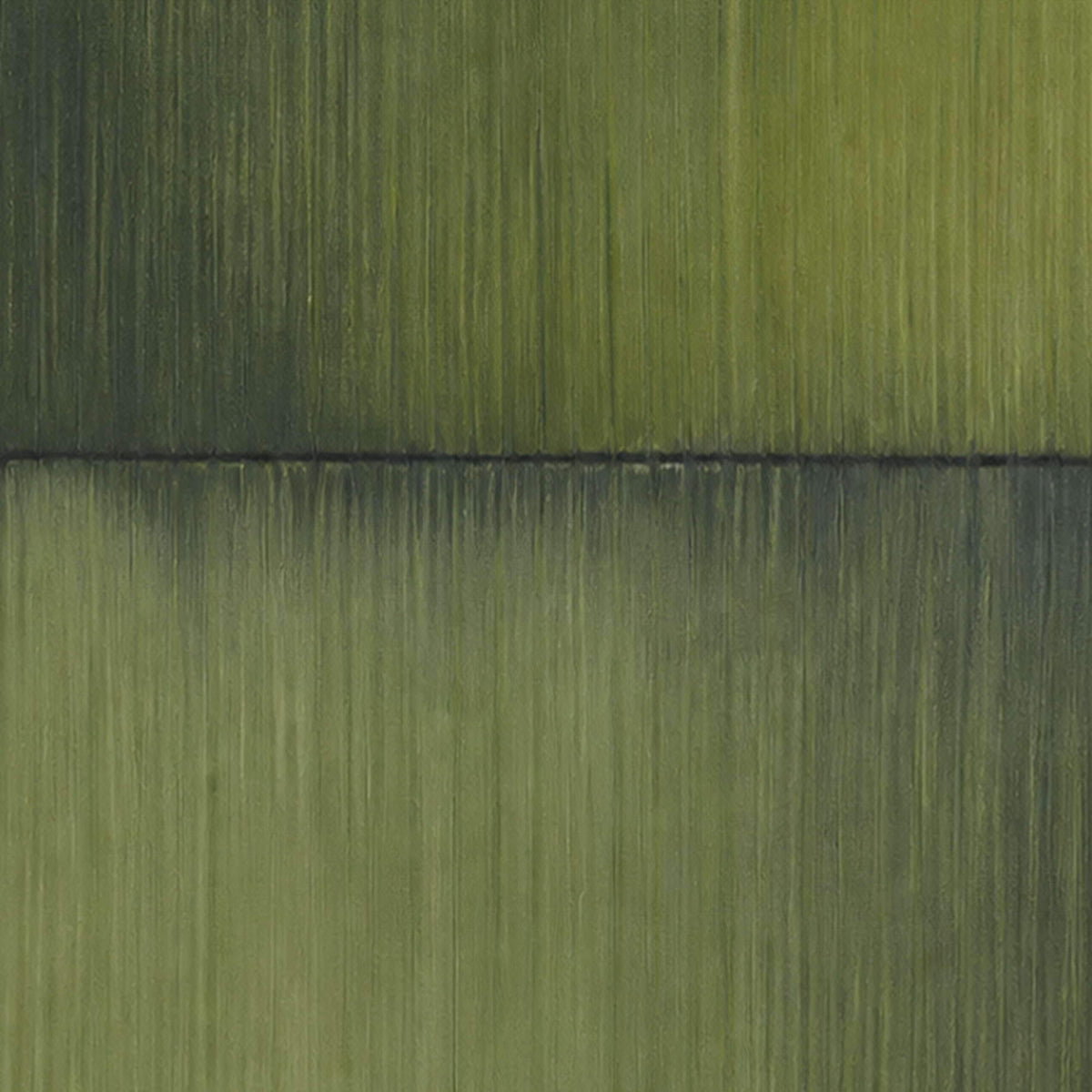 Close-up of fine moss, olive, and shadowed green brush texture.