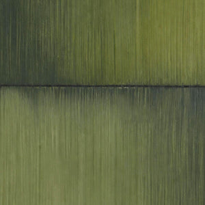 Close-up of fine moss, olive, and shadowed green brush texture.