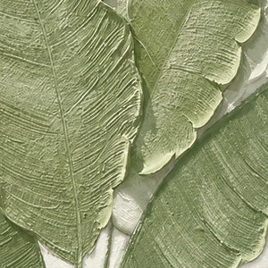 Close-up of raised green leaf veins and fine ridges against a pale background.