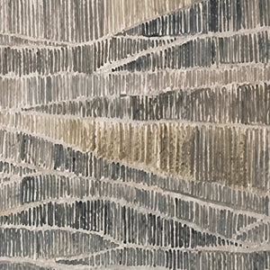 Close view of fine pale vertical marks connecting rippling bands over gray and taupe.