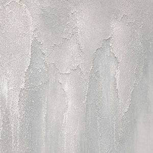 Detail of After the Shower, showing the fine gray-white surface texture.