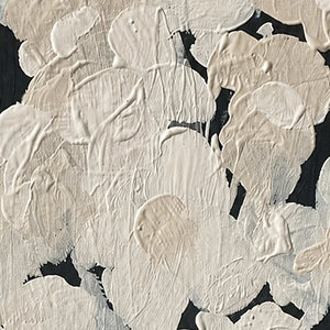 Close view of overlapping cream petals with raised strokes and fine grooves over black.
