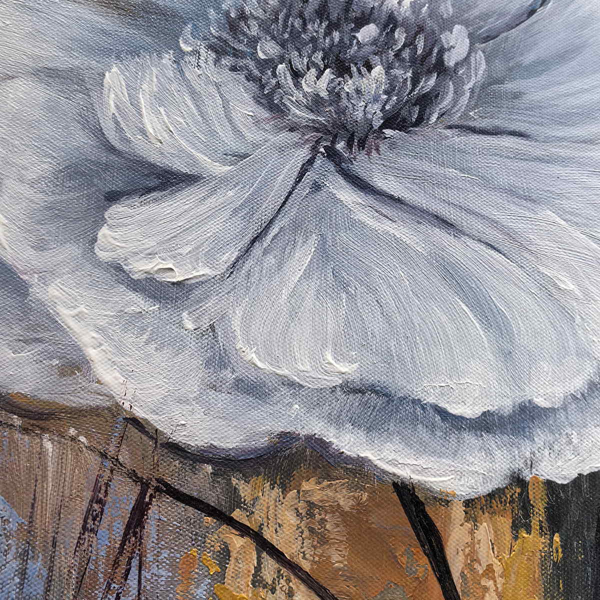 Close-up of a dark flower center and white petals shaded in gray-blue.