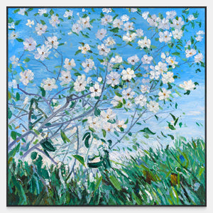 Front view of white flowering branches against blue sky above green grass, with a black frame.