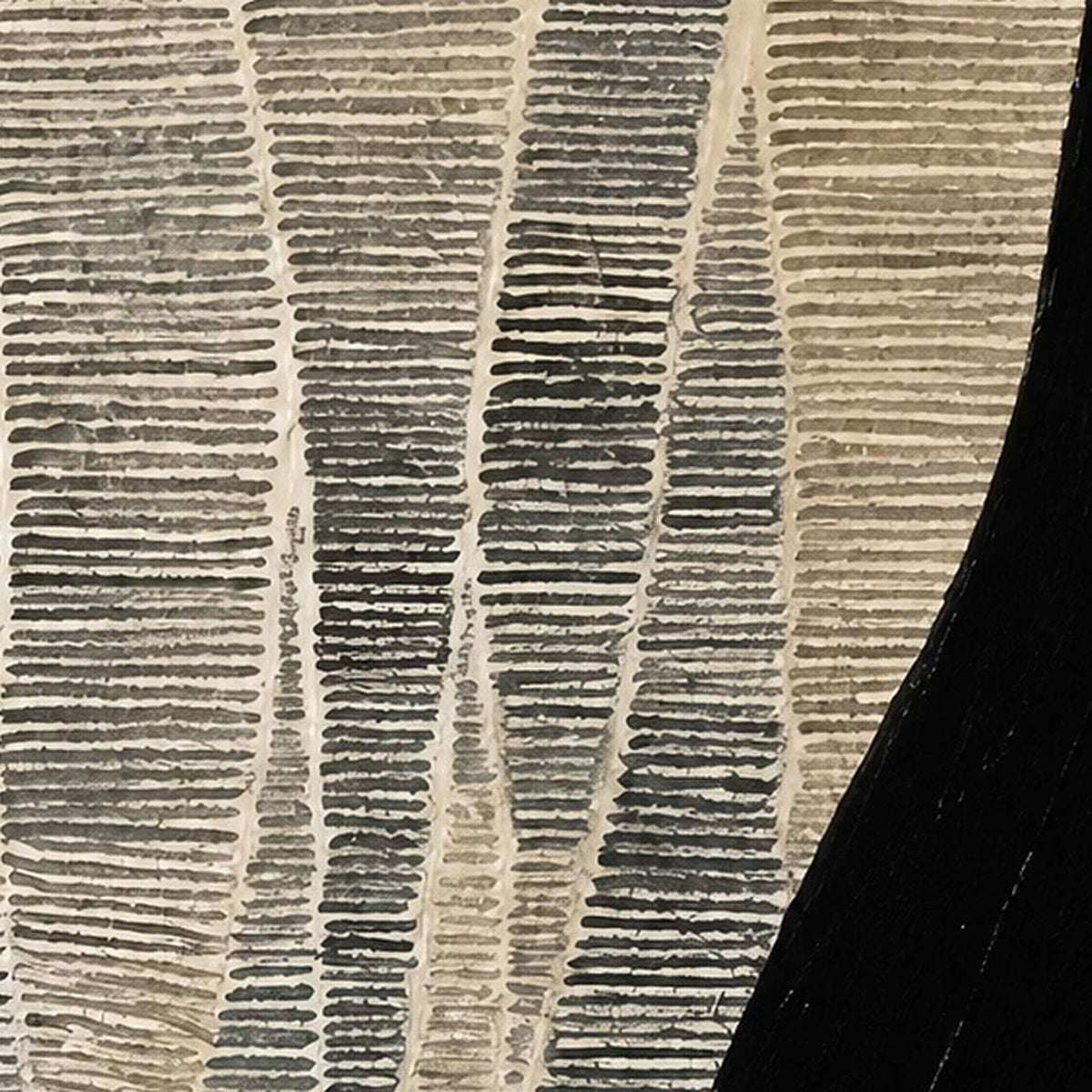 Close view of delicate cream cross-lines across narrow winding bands beside a black field.