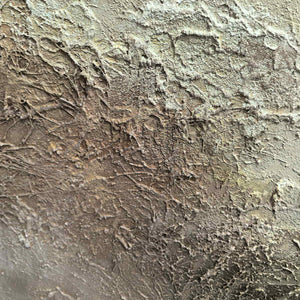 Close-up of coarse gray-beige ridges, pits and overlapping surface marks.